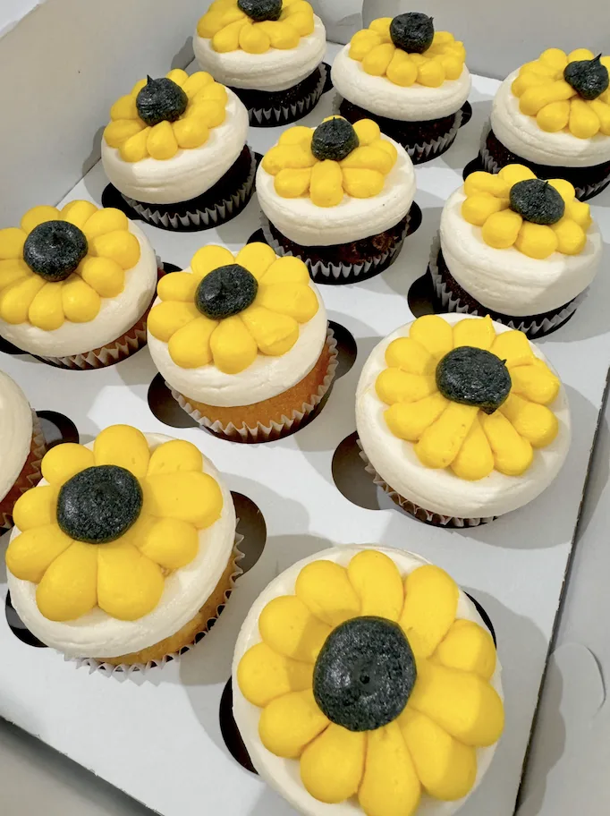 wilmington cupcakes